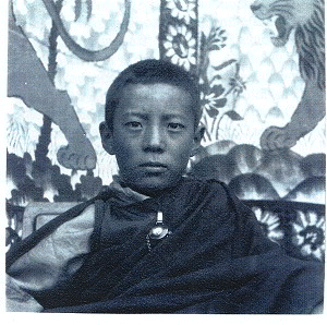 Zasep Rinpoche